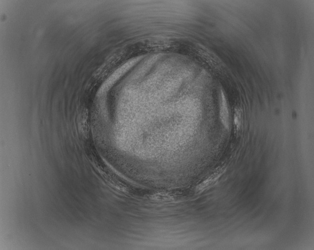 X0000073530867200608211827