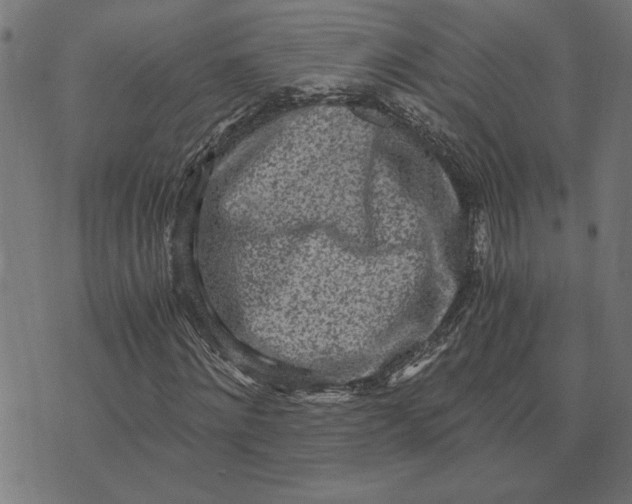 X0000073530868200608211827