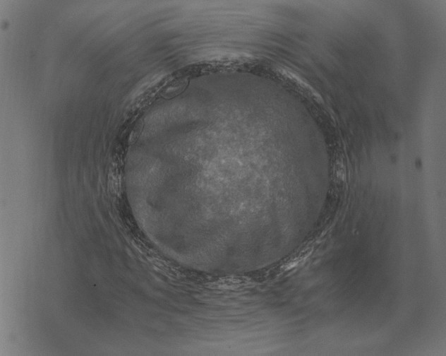 X0000073530869200608211827