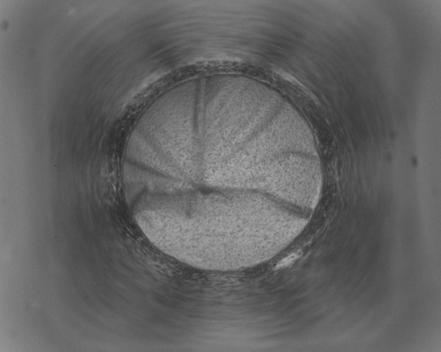 X0000073530870200608211827