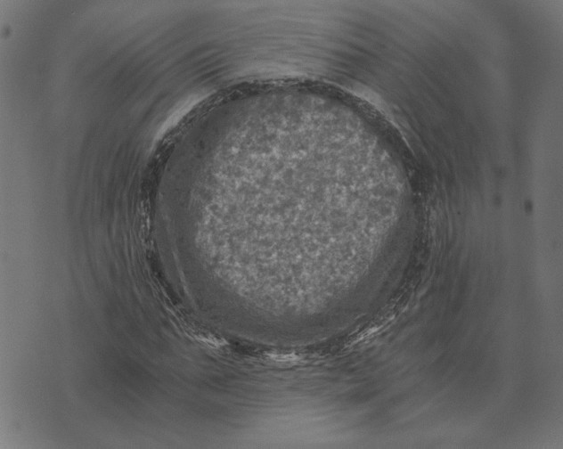 X0000073530871200608211827