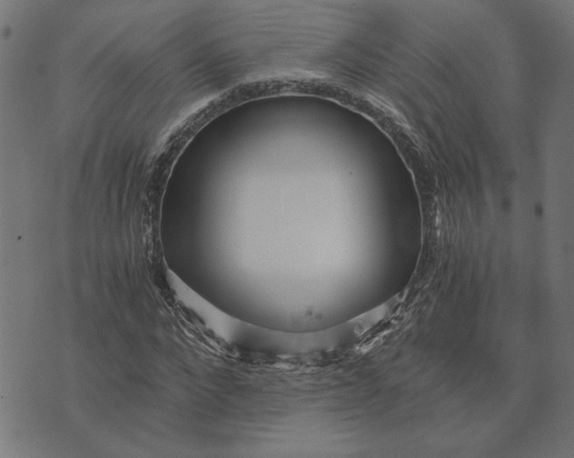 X0000073530872200608211827