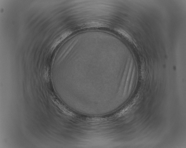 X0000073530873200608211827