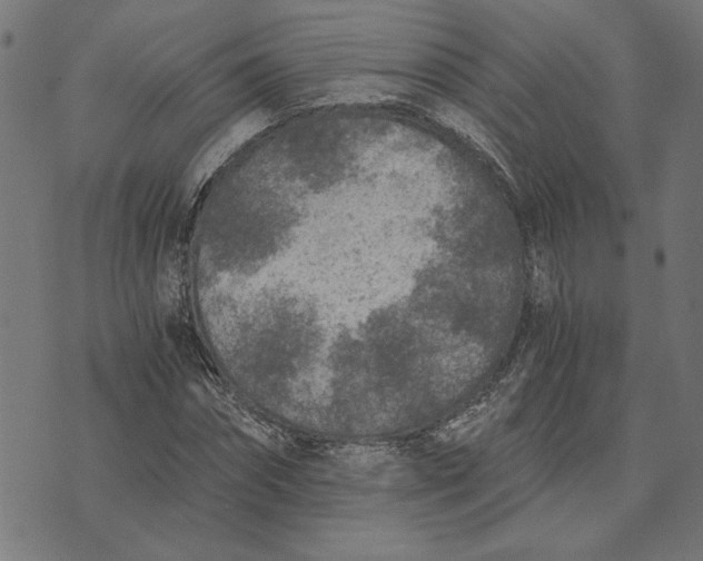 X0000073530874200608211827