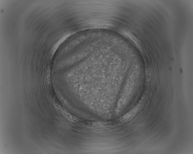 X0000073530875200608211827