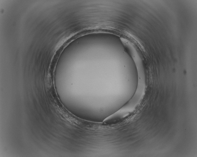 X0000073530876200608211827