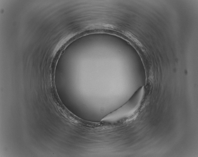 X0000073530877200608211827