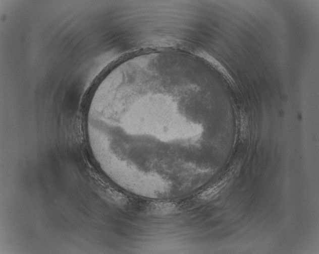 X0000073530878200608211827