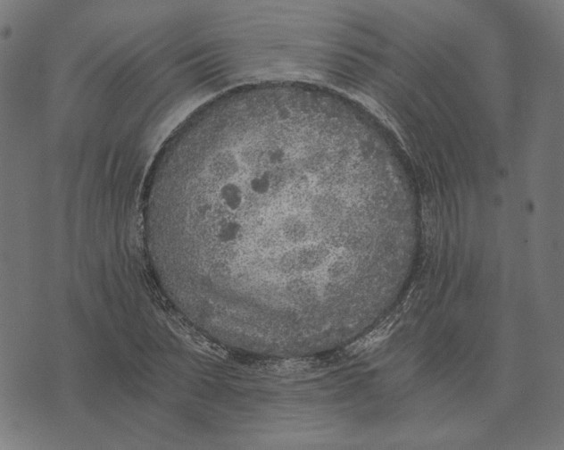 X0000073530879200608211827