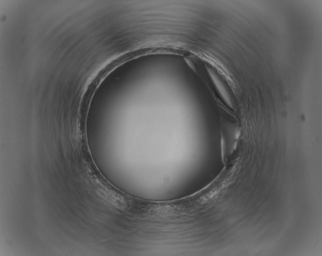 X0000073530880200608211827