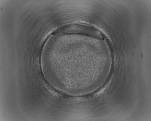 X0000073530881200608211827