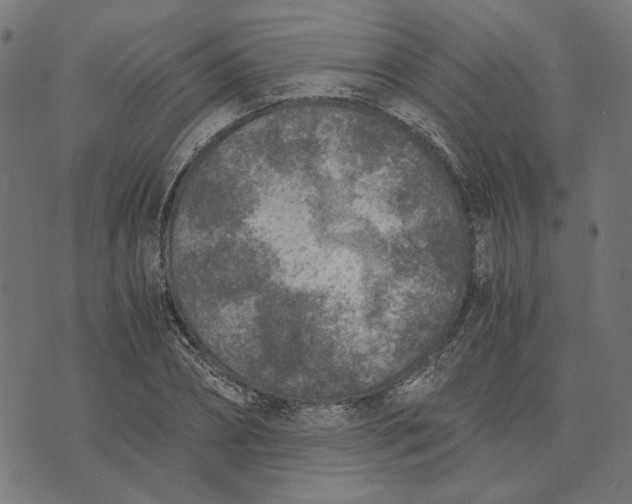 X0000073530882200608211827