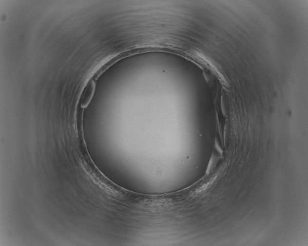 X0000073530884200608211827