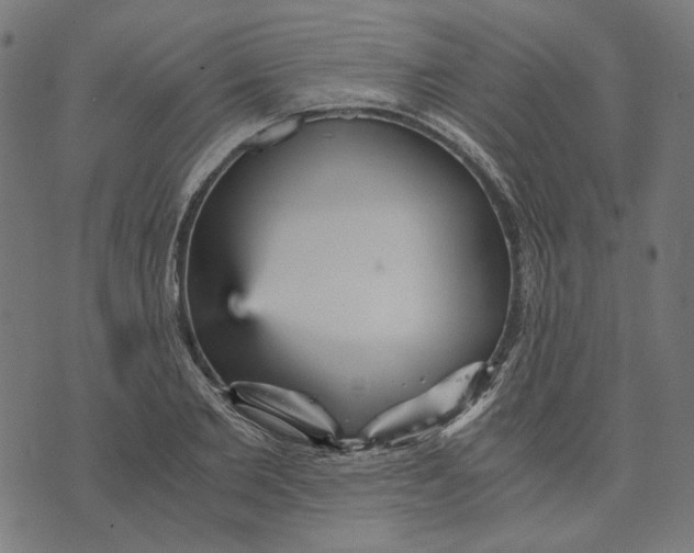 X0000073530885200608211827