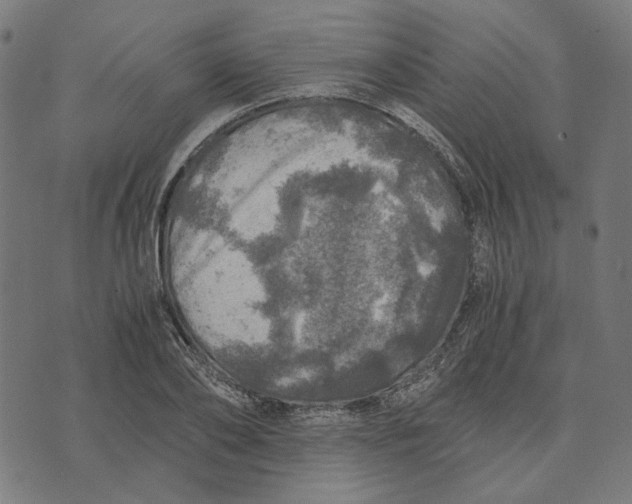 X0000073530886200608211827