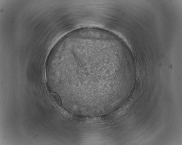 X0000073530887200608211827