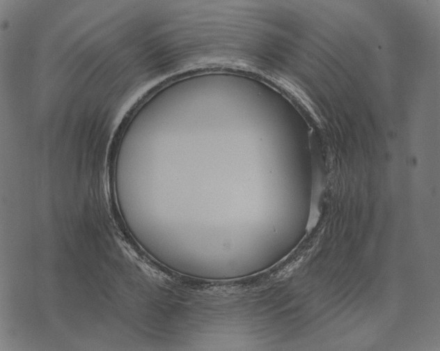 X0000073530888200608211827