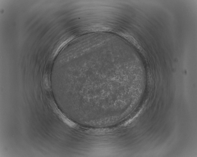 X0000073530889200608211827