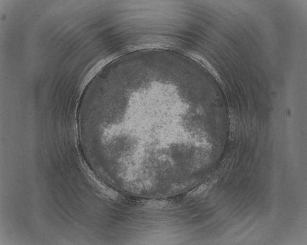 X0000073530890200608211827