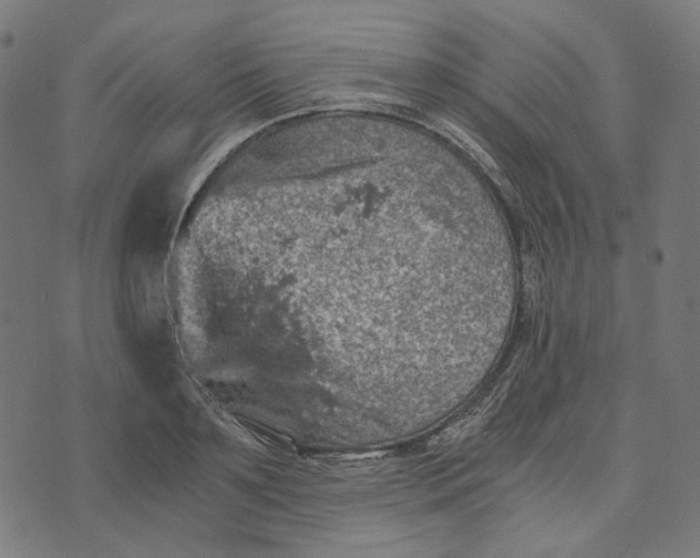 X0000073530891200608211827