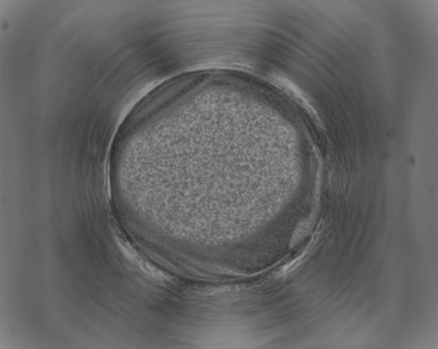 X0000073530892200608211827