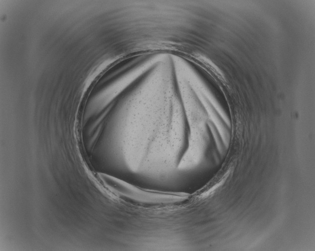 X0000073530893200608211827