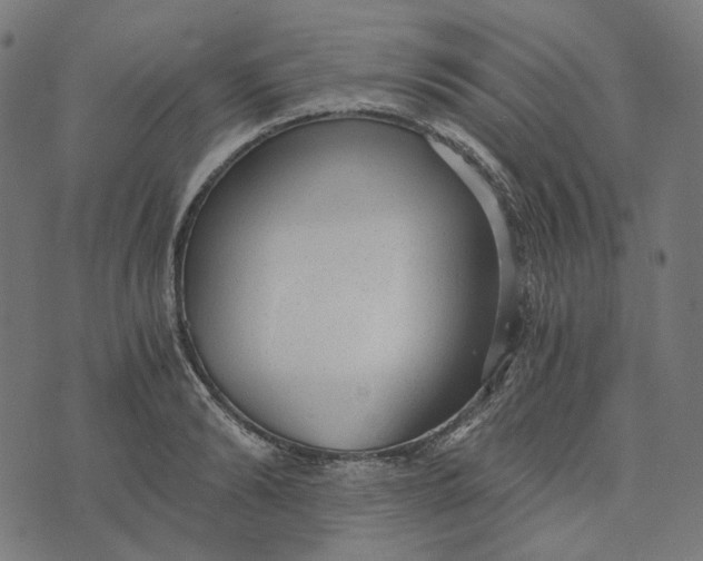 X0000073530894200608211827