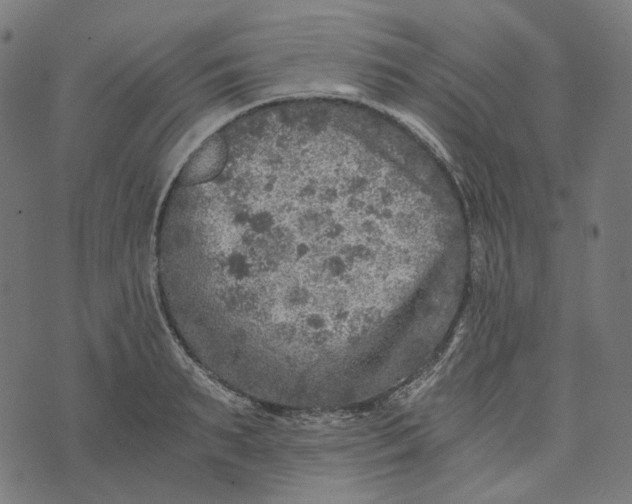 X0000073530895200608211827