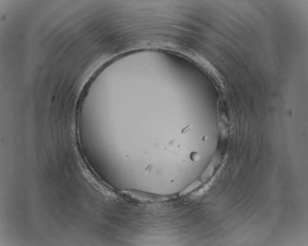 X0000073530896200608211827