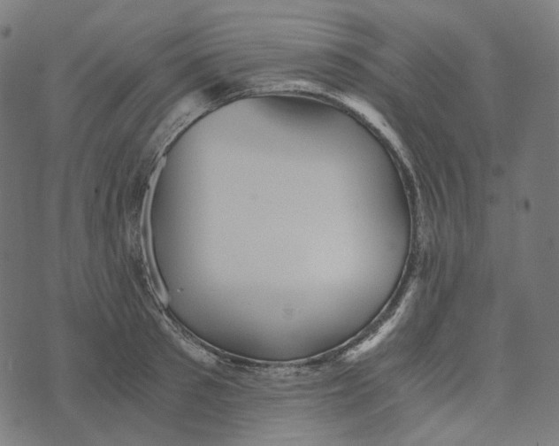 X0000073530897200608211827