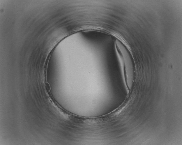 X0000073530898200608211827