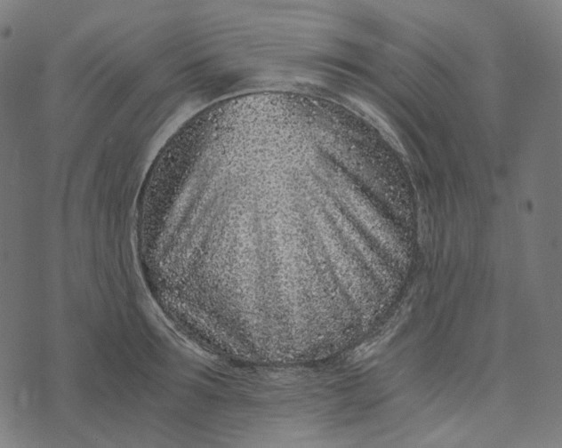 X0000073530899200608211827