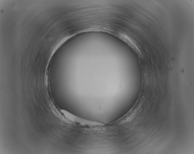 X0000073530900200608211827