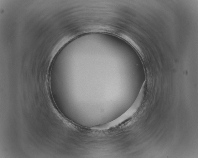 X0000073530901200608211827