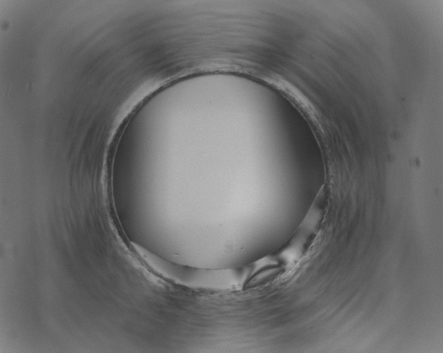 X0000073530902200608211827