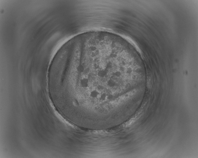 X0000073530903200608211827