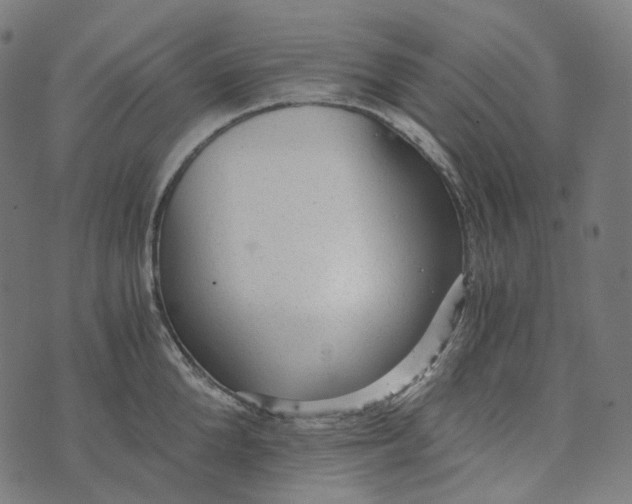 X0000073530904200608211827