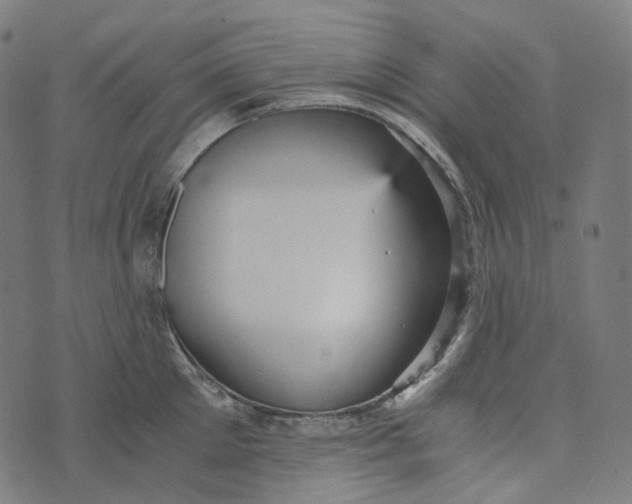 X0000073530905200608211827