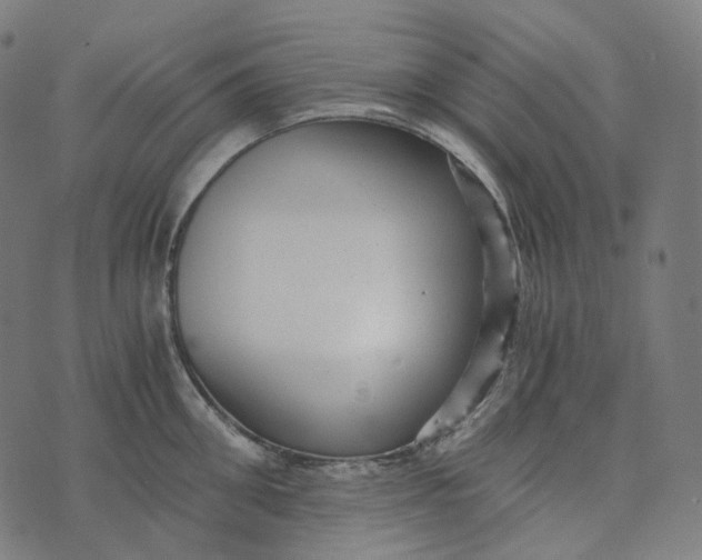 X0000073530906200608211826