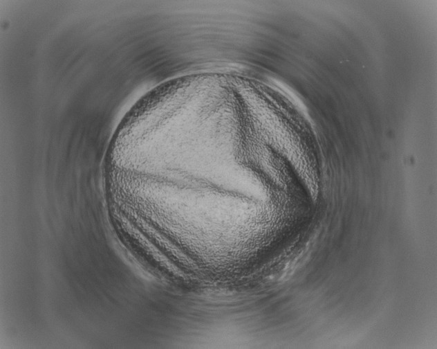 X0000073530907200608211826