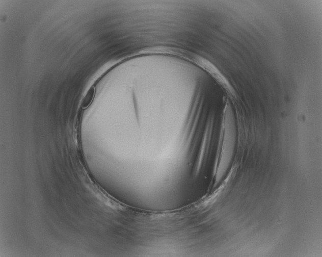 X0000073530908200608211826