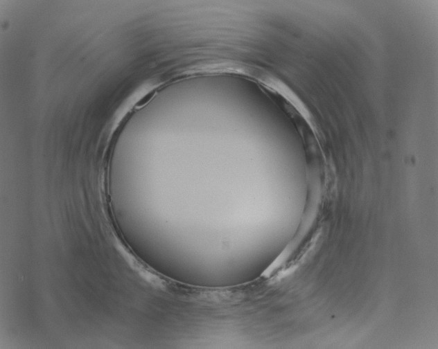 X0000073530909200608211826