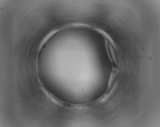 X0000073530910200608211826