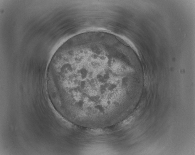 X0000073530911200608211826