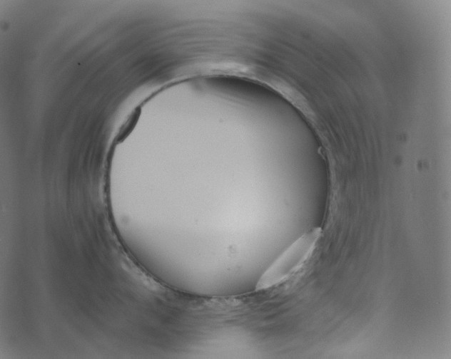 X0000073530912200608211826