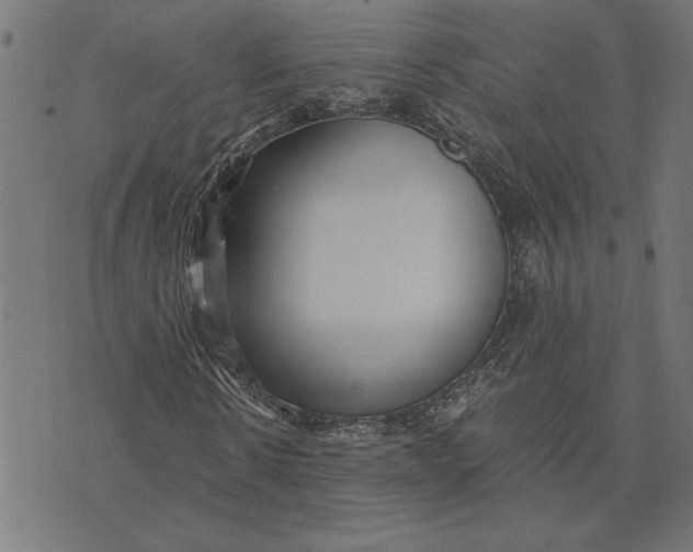 X0000073530914200608211826