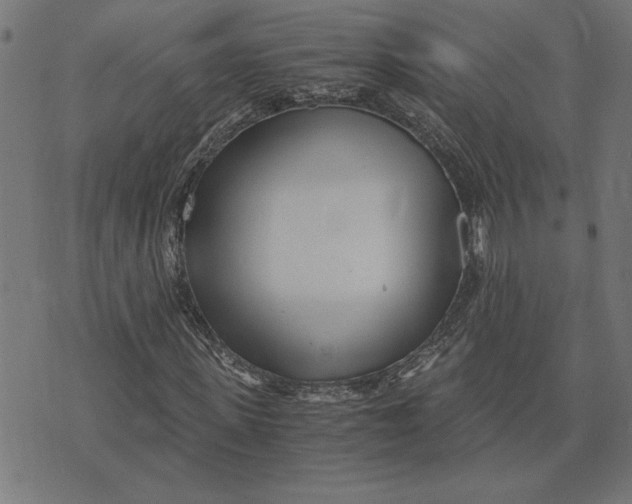 X0000073530915200608211826