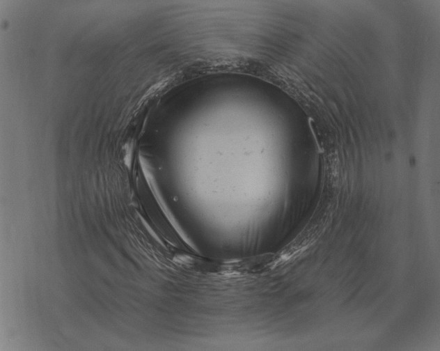 X0000073530916200608211826