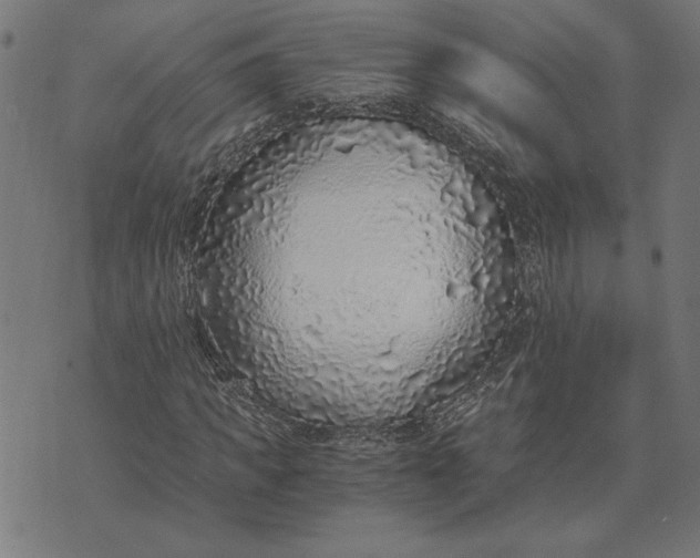 X0000073530917200608211826