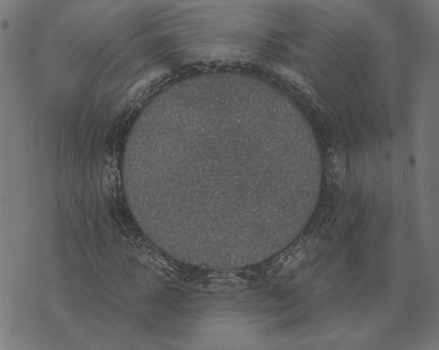 X0000073530918200608211826